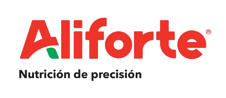 image-removebg-preview